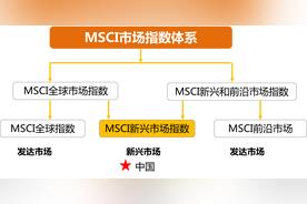 msci是什么意思?msci指数全称及进入中国股市a股时间（msci的股票代表什么）