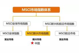 msci是什么意思?msci股票有哪些（什么是msci板块）