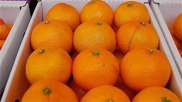 橙子能放冰箱保存吗,橙子怎么保存久一些