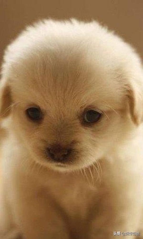 开个副食店进货渠道（开个副食店进货渠道怎么选）