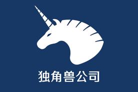2020中国独角兽企业top100排行榜（中国独角兽企业排名）