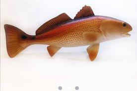 美国红鱼的吃法（美国红鱼做法窍门）