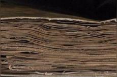 伏尼契手稿(孟祥飞)