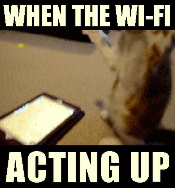 act短语(act短语大全)