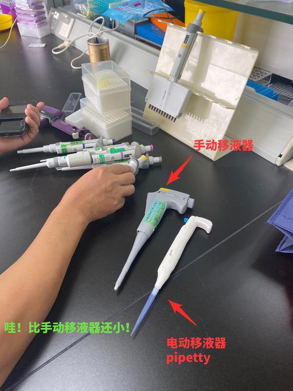 当季大流行 デンカラップ新鮮 ML400 幅400mm×750m巻 １箱 ２本入 spb Y005016 fucoa.cl