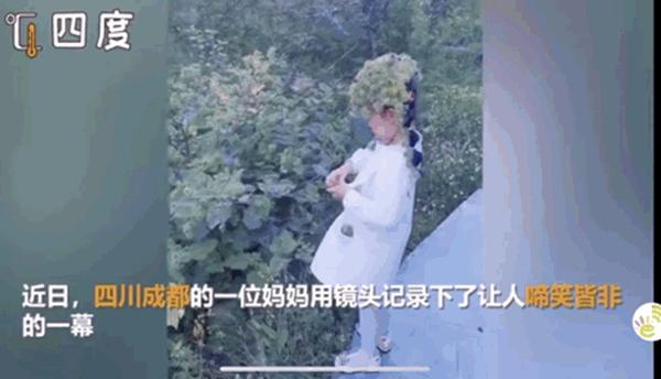 苍耳子的旅行作文500字(游天河潭作文500字)