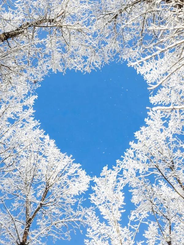 天秤女越喜欢你越不理你(天秤女越喜欢你越不理你怎么办)