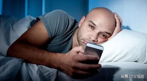 白鹭的生育情况(白鹭的生育情况繁殖)