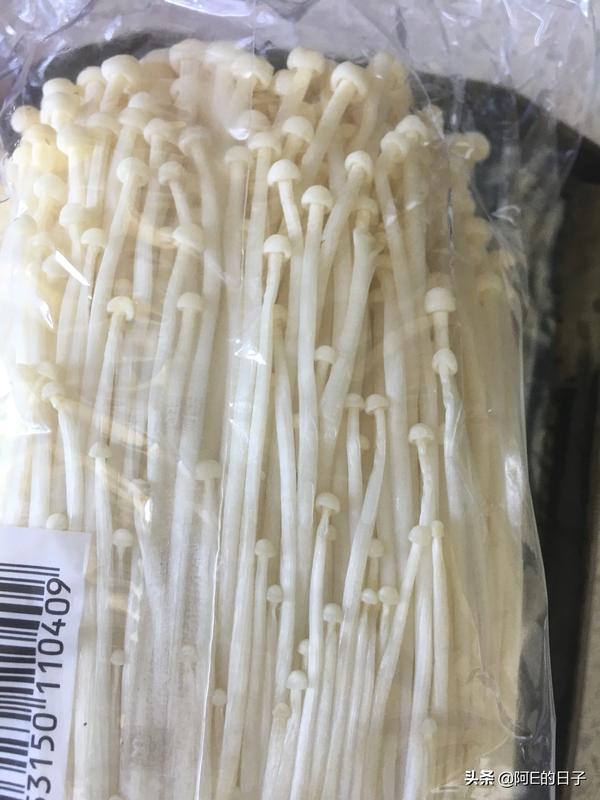 五种凉拌金针菇的做法(凉拌金针菇的做法大全家常)