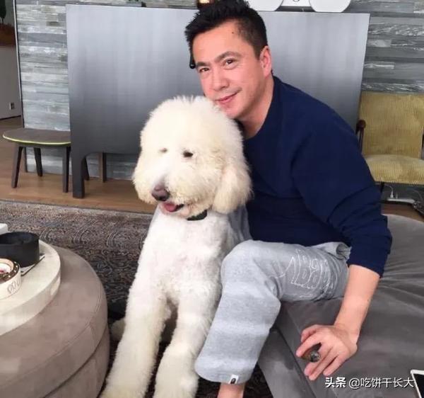 王中磊哪里人（王中磊个人）