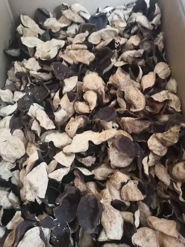 收皮啦你粤语什么意思（收皮啦你粤语发音）