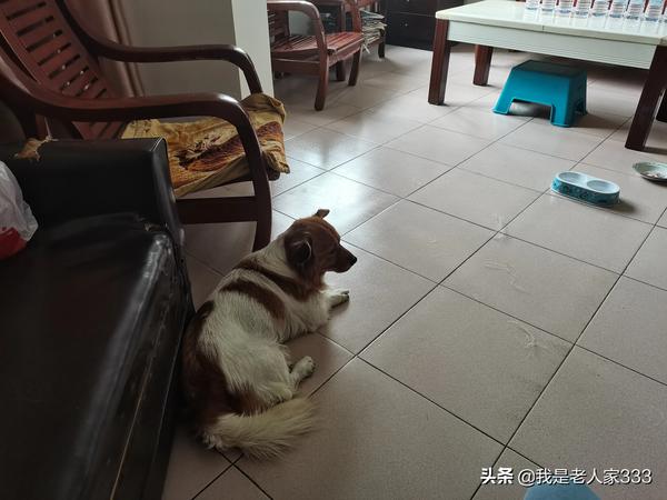 西游记最新电影2020（西游记最新版免费完整版）