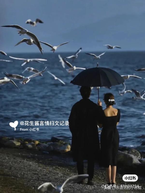 鱼缸小说全文免费阅读(鱼缸小说全文免费阅读男主车祸)