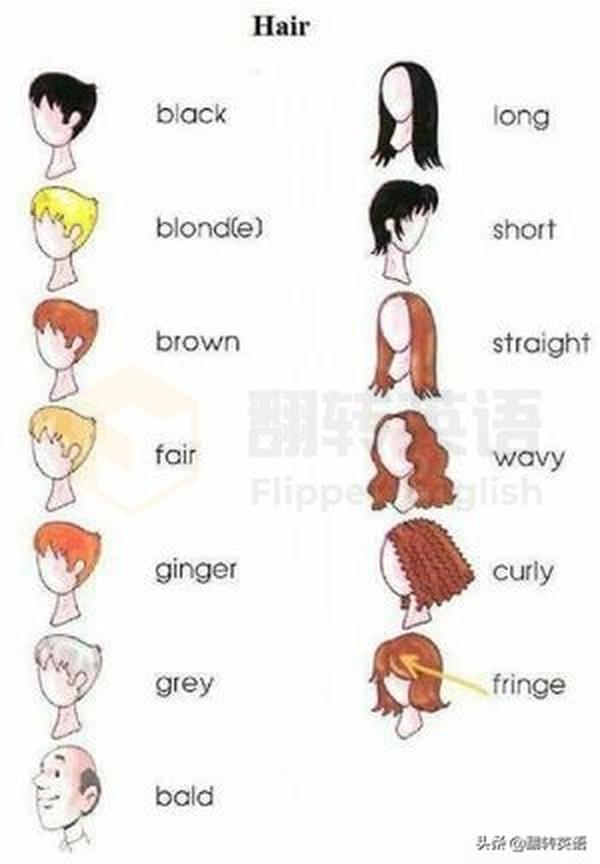 头发的英文（头发的英文复数）