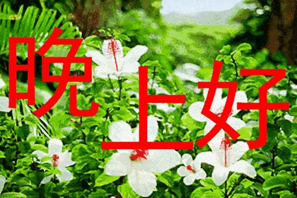 寒门子弟的标准(寒门子弟对应什么子弟)