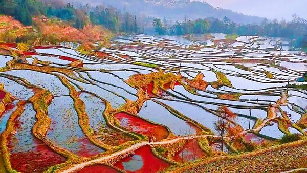 6205345905_d59a564256-160x160