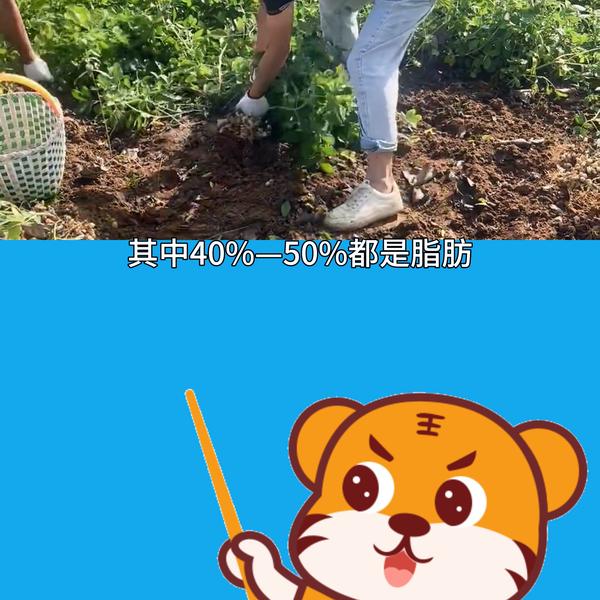 expr