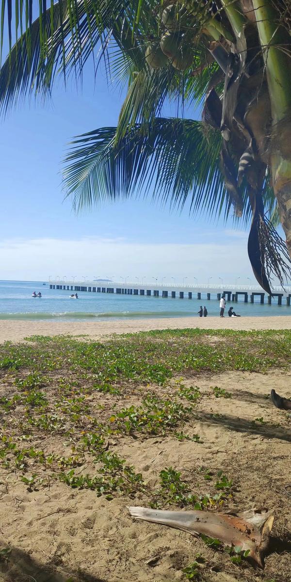 海口气候(海口气候特点)