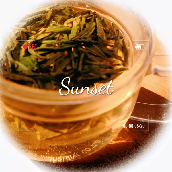 怎么写小说大纲(新手写小说大纲模板)