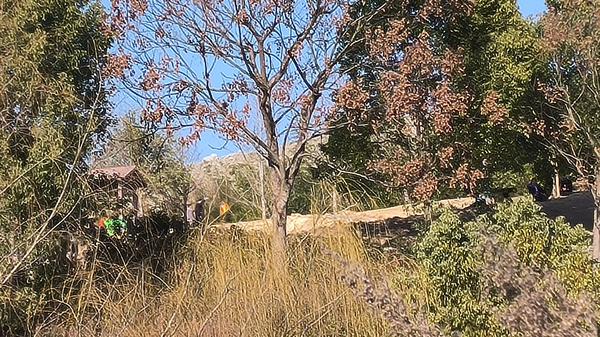 美术绘画手法有哪些（美术绘画手法有哪些类型）