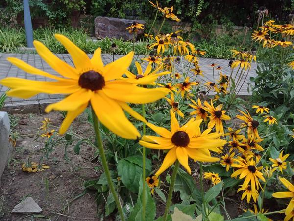 别人说你优秀怎么高情商回复(别人说你优秀怎么高情商回复她)