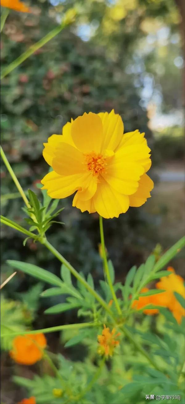 朋友圈怎么骂嫉妒你的人(朋友圈怎么骂嫉妒你的人说说)