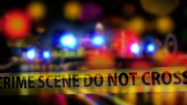 复仇国语版在线观看（复仇国语版在线观看电影）