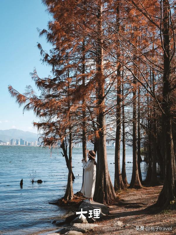 大理旅游景点攻略自由行(大理的旅游攻略)