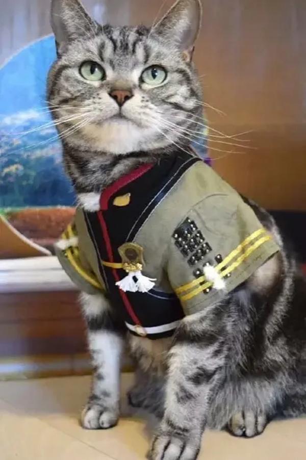 哈利波特小说全集阅读（哈利波特全集小说在线阅读）