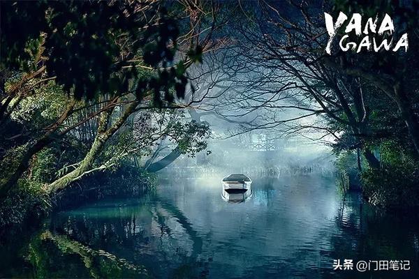 张鲁一(张鲁一老婆)