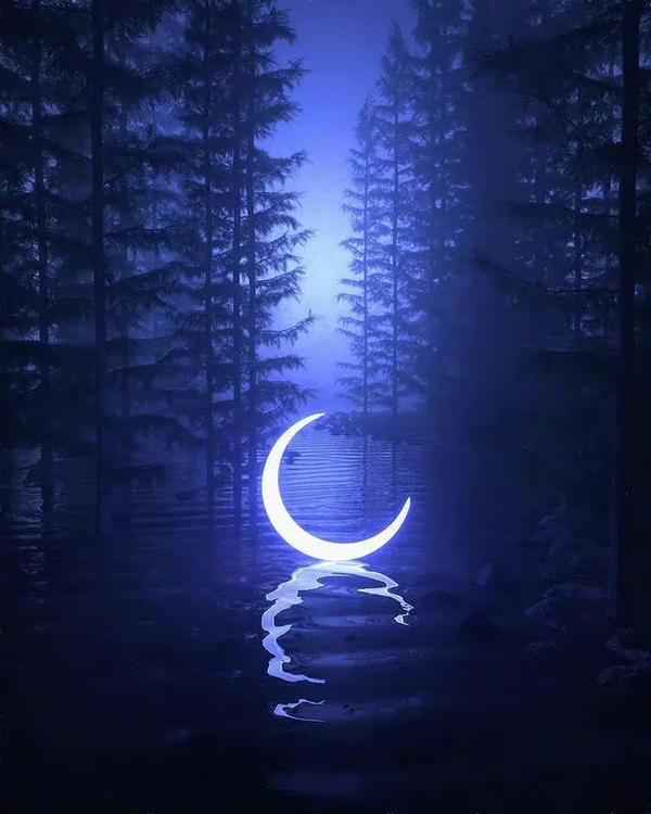 手机壁纸梦幻唯美(手机壁纸梦幻唯美城市)