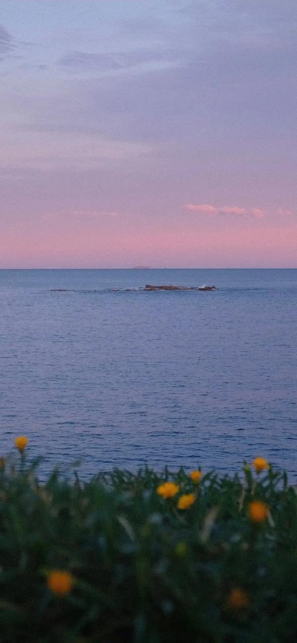 目前工作担当是什么（工作担当是什么意思）