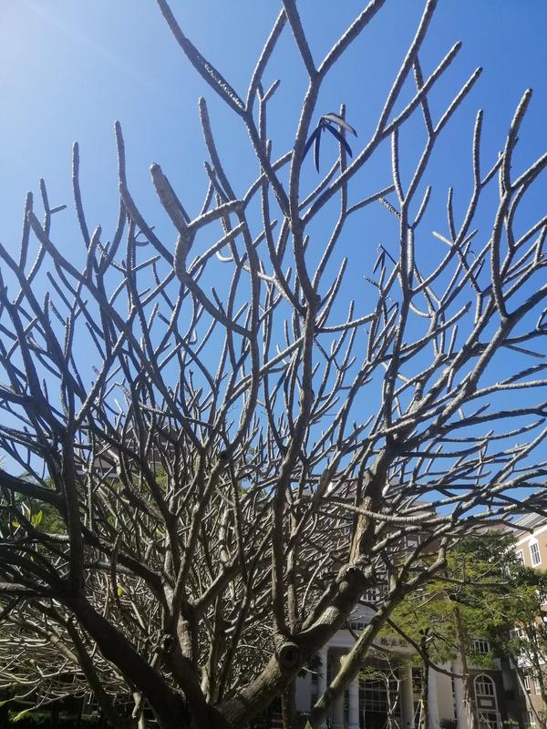 中国科幻小说排行榜前十名（中国科幻小说排行榜前十名有哪些）