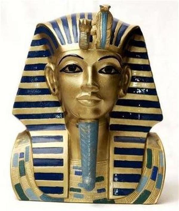 乌鸦坐飞机是哪种姿势图片(乌鸦坐飞机动图)