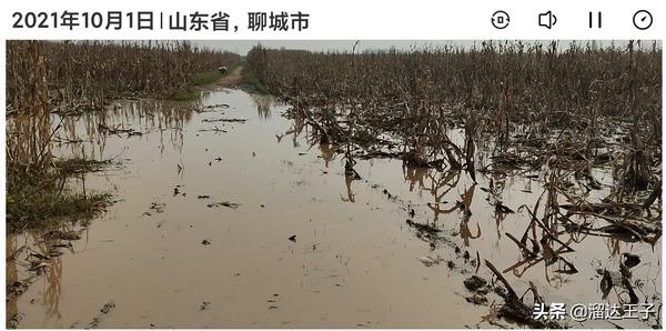 寿光水灾为什么不报道(寿光水灾央视不实报道)