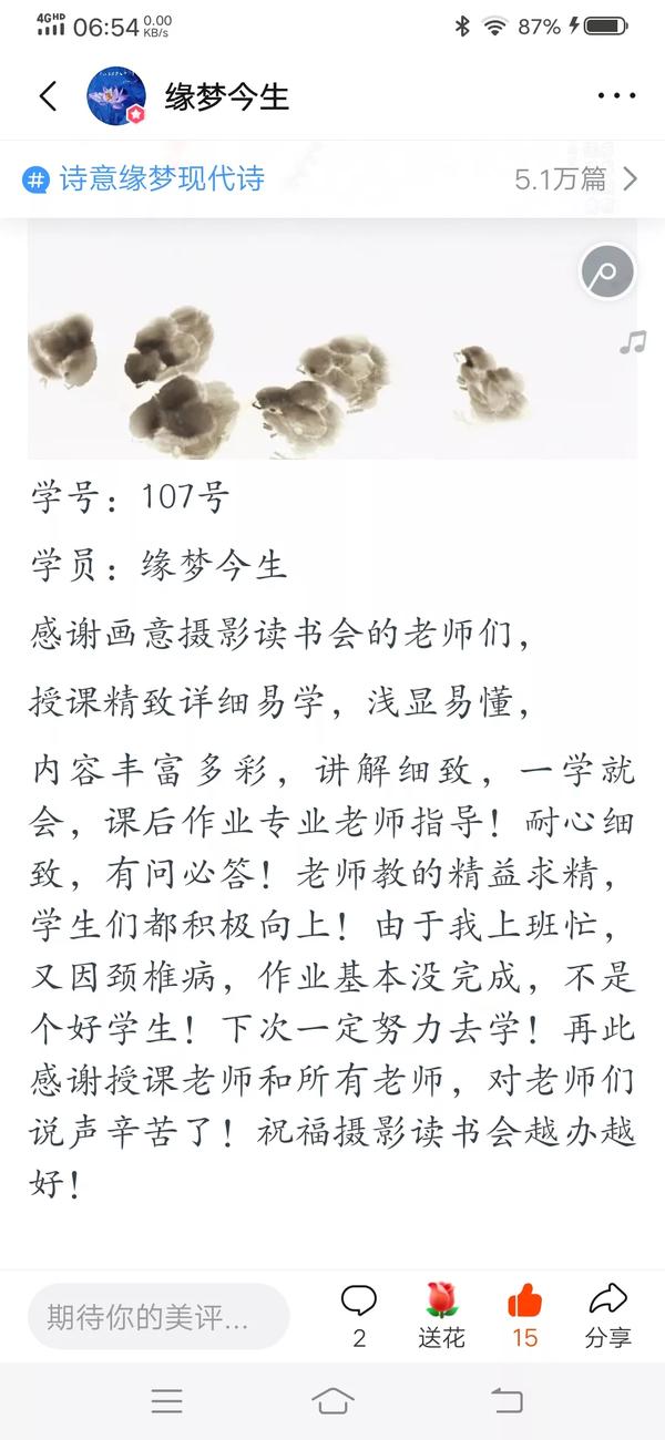 美术作品美篇文字（美术作品美篇文字怎么写）