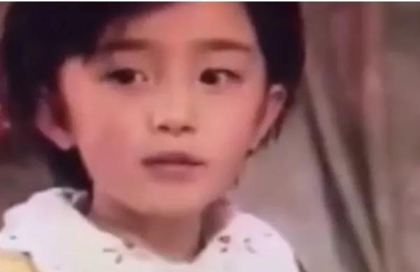 杨幂版红楼梦演员表（杨幂版红楼梦演员表全部）