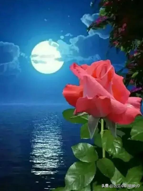 花好月圆人团圆对联(花好月圆人更圆对联)