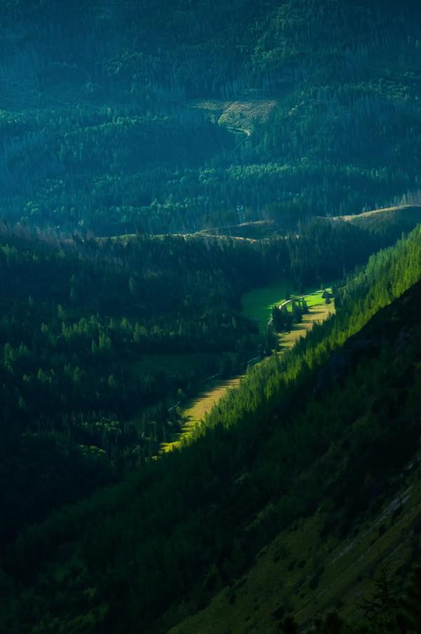 文艺分为（文艺分为几种）