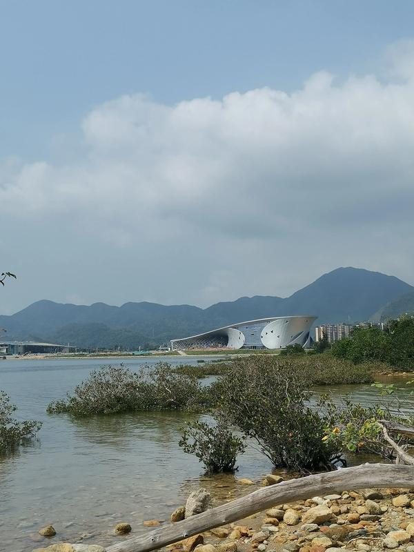 白沙湾涨潮退潮时间表2021年8月_白沙湾涨潮退潮时间表2021年8月9日