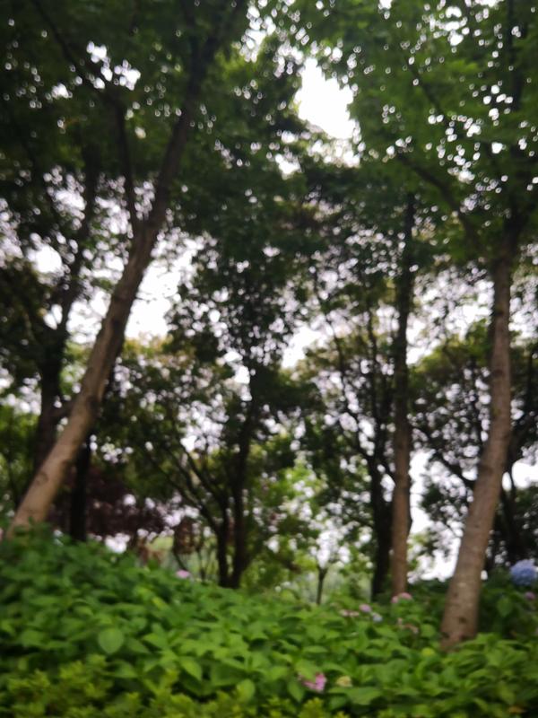 2寸照片电子版怎么弄(2寸照片电子版怎么弄)