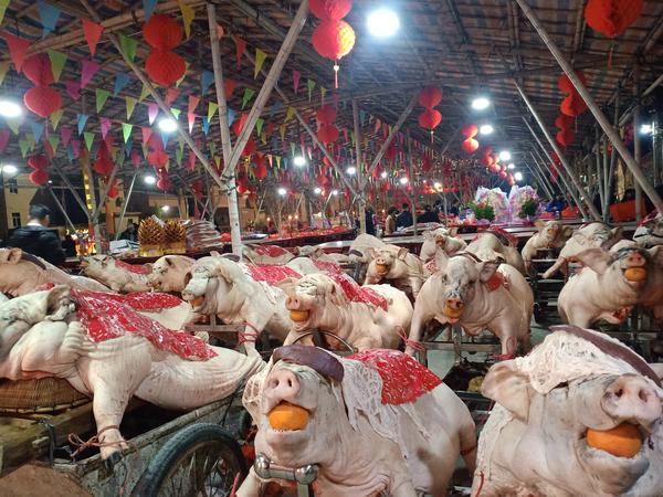 最强家族之老祖保佑小说（祖宗保佑-我一手打造最强家族）