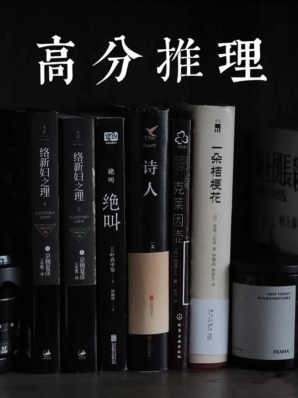 豆瓣评分超高的国内悬疑小说(豆瓣评分最高的悬疑小说)