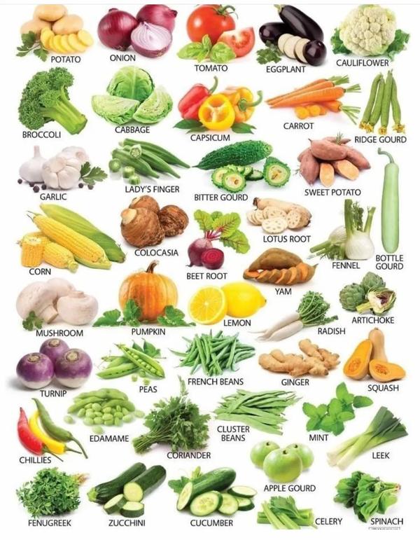 蔬菜的英文（蔬菜的英文怎么读）