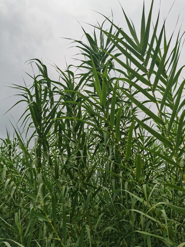 有人惦记的句子朋友圈（有人惦记的句子朋友圈说说）