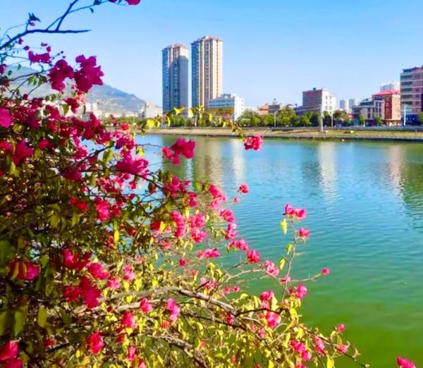 碧水云天 学区(碧水云天学区房)