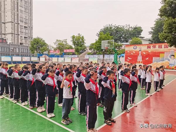 红领巾第四季第十三期感受（红领巾第三季第四期观后感）