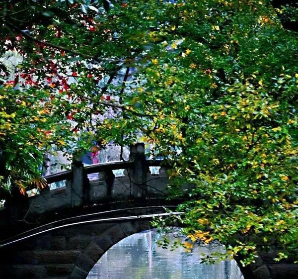 我只是个流浪歌手笫一章唱哭座城(我只是个流浪人是什么歌)