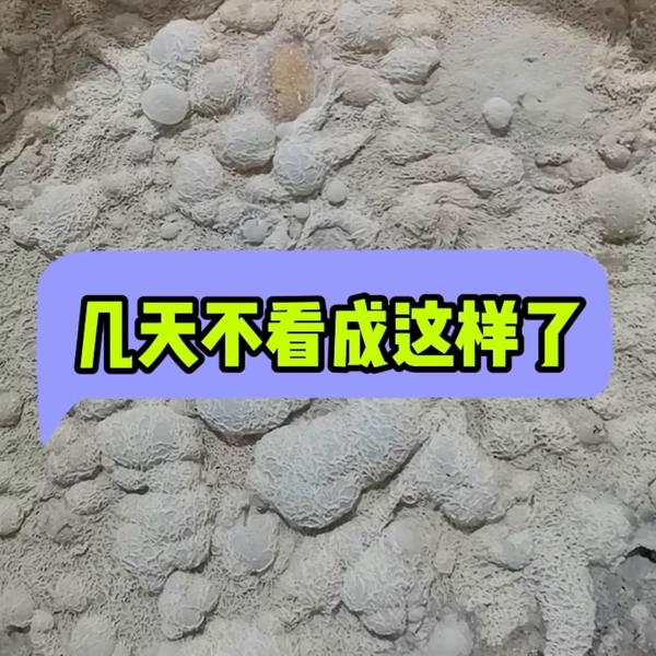 6205345905_d59a564256-160x160