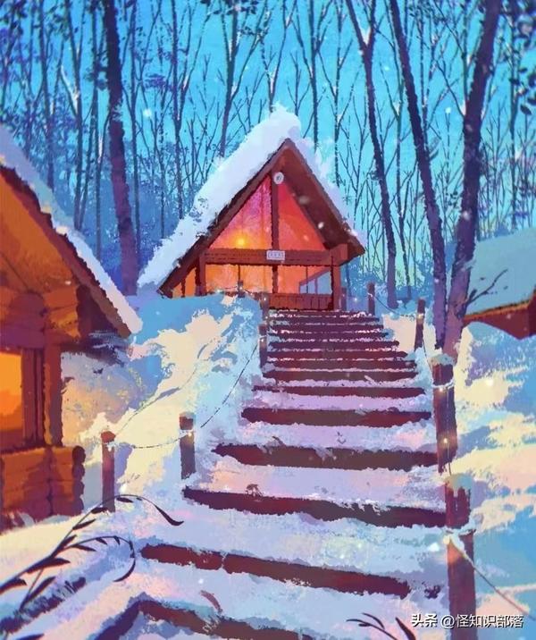 六月雪叶子干枯掉落(六月雪叶子干枯掉落)